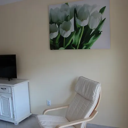 Lägenhet Karchevi *