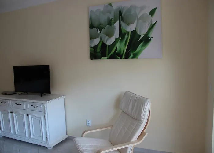 Апартаменты Karchevi *